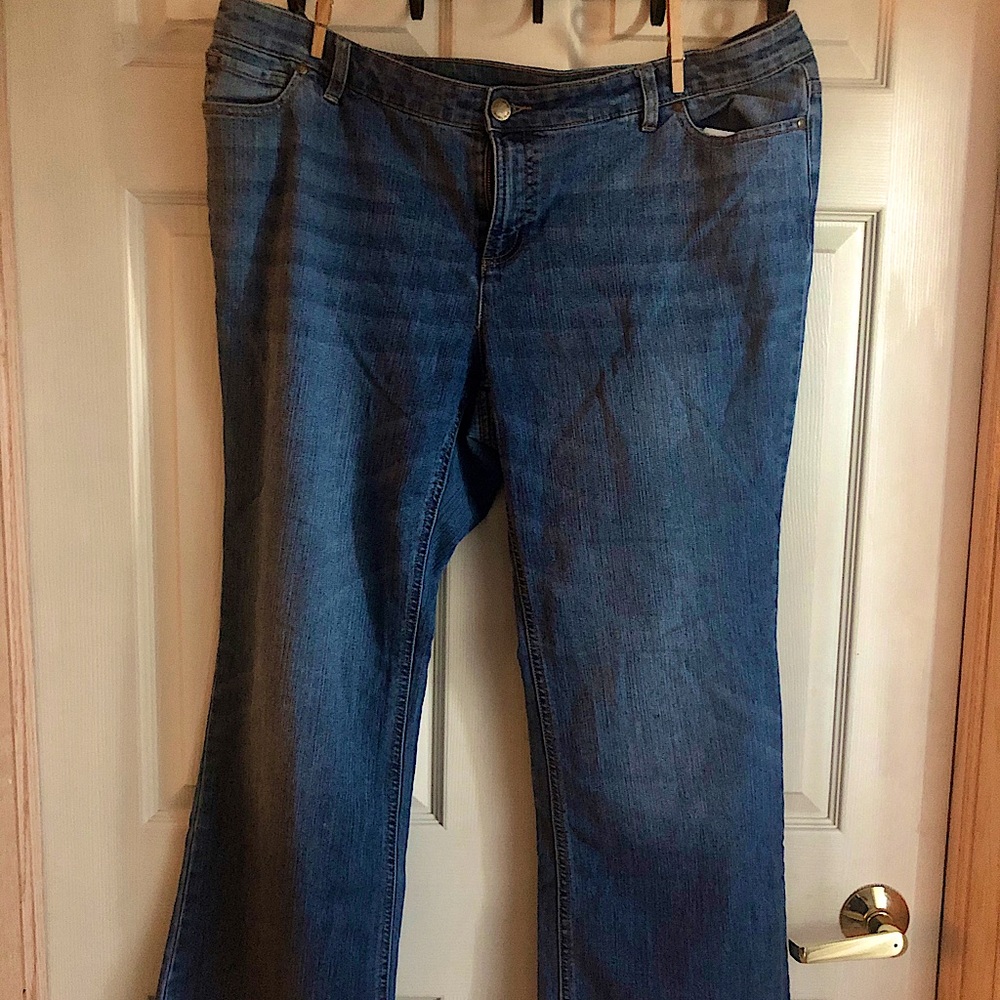 Daisy Fuentes Jeans